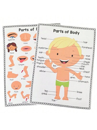 قطعتان من ملصقات أجزاء الجسم لتعلم المعرفة للأطفال، ملصقات حائط للمدرسة الابتدائية، ديكورات غرفة الأطفال، ملصقات تعليمية بحجم A4