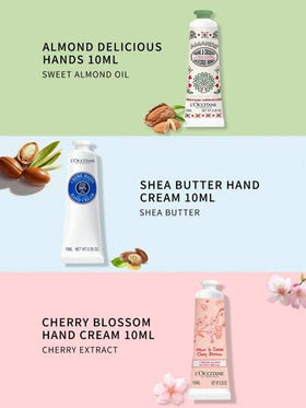 L'Occitane مجموعة كريم اليد الصغيرة من إن بروفانس، 10مل*4 (زبدة الشيا، اللوز، رائحة زهور الكرز الكلاسيكية)، كريم اليد المرطب - مناسب لجميع أنواع البشرة (شحنة عشوائية من الإصدارات الجديدة والقديمة)