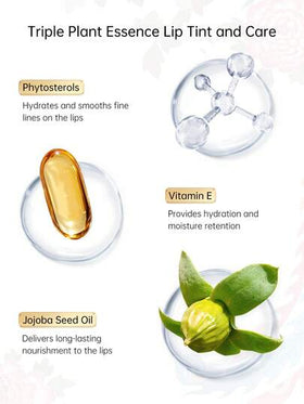 CATKIN طقم هدايا أحمر شفاه 3 قطع من كاتكين "قصر الصيف"، أحمر شفاه شبه مطفي، دائم لمدة 24 ساعة، خفيف الوزن وناعم، فائق الترطيب