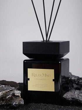 SHEIN زجاجة هدية، معطر منزلي، زجاجة عطر للعائلة للديكور، مناسب للصالة والنوم والمكتب والحمام - معطر هواء أنيق ، موضوع العطلات. 1 موزع ريد بسعة 16.9 أونصة / 500 مل, أعواد روائح
