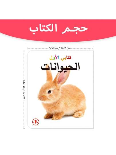 TEENYBABY 1 طقم من 6 بطاقات تعليمية عربية مبكرة للأطفال بمقاس 13 سم * 13 سم، بطاقات تعرف على الصور وتعلم المفردات، ألعاب تعليمية مونتيسوري، هدايا عيد الميلاد والشكر والعام الجديد، عودة إلى المدرسة
