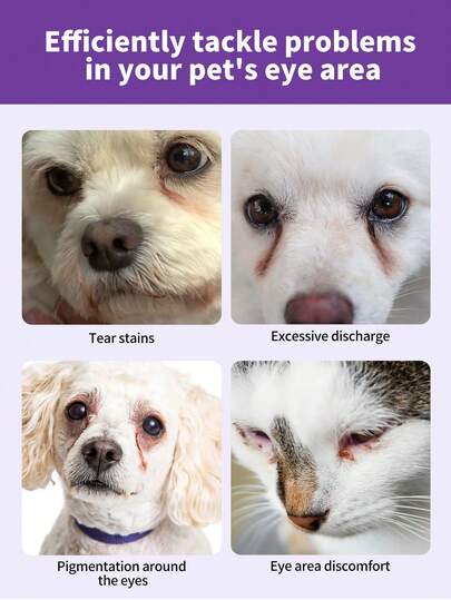 GJYC PET 100 قطعة من مناديل تنظيف عيون الحيوانات الأليفة - إزالة لطيفة لبقع الدموع والأوساخ والإفرازات والمخاط - مناديل تنظيف وعناية وتعطير بزيت جوز الهند للعيون والتجاعيد والوجه - للكلاب والقطط