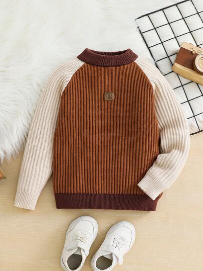 SHEIN 1 قطعة كنزة صوفية كاجوال مريحة وعملية للأولاد الصغار بتصميم كتل لون محبوك منسوج، مناسبة للمدرسة والارتداء اليومي والخروجات والرياضة في فصلي الخريف والشتاء