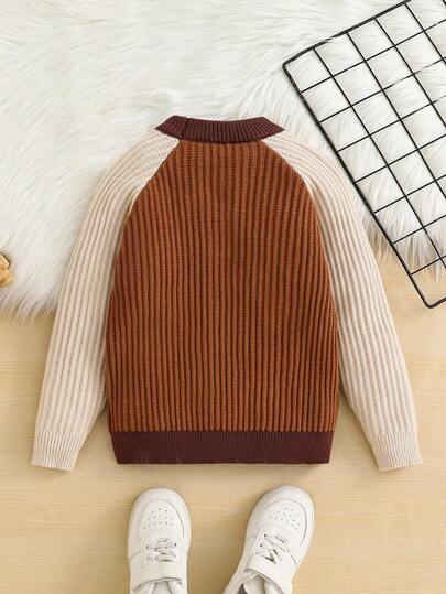 SHEIN 1 قطعة كنزة صوفية كاجوال مريحة وعملية للأولاد الصغار بتصميم كتل لون محبوك منسوج، مناسبة للمدرسة والارتداء اليومي والخروجات والرياضة في فصلي الخريف والشتاء