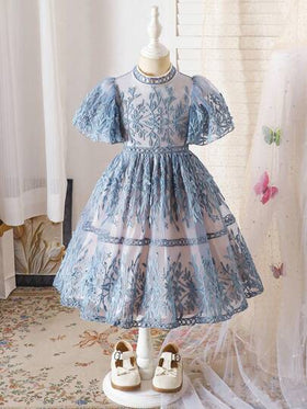 SHEIN فستان حفلة أنيق مطرز بالشبك للفتاة الصغيرة