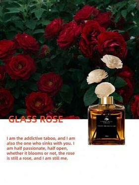 Cirelle 1 قطعة زجاجة 50 مل من الزهور المجففة والقصب لعطر الأرومثيرابي بدون نار، عطر دائم للمنزل وغرفة النوم والمكتب والحمام، ديكور معطر لأوقات الاسترخاء، فكرة هدية للمناسبات والأعياد