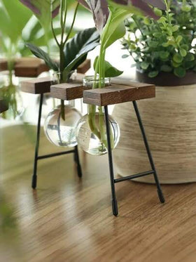 Madebyblanc 1 عبوة إطار خشبي صلب زجاج مقسى مزروع هيدروبوني ذاتي الري تصميم حديث نهاية خشبية طبيعية زجاج شفاف وعاء نباتات بونساي للمنزل والمكتب طاولة المكتب ديكور مثالي لهواة النباتات هدية فكرة ديكور موسمي حدائق زن مكتبية نباتات نقية للهواء أسلوب بسيط
