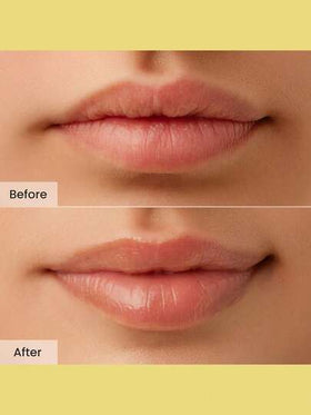 CNP بلسم شفاه بالعسل - بروبوليس Lipcerin™ 01 الأصلي، قناع ومرطب للشفاه ليلاً، ترطيب لمدة 12 ساعة، هدية عيد الميلاد، هدية للنساء، 15مل، جمال كوري