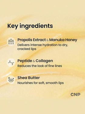 CNP بلسم شفاه بالعسل - بروبوليس Lipcerin™ 01 الأصلي، قناع ومرطب للشفاه ليلاً، ترطيب لمدة 12 ساعة، هدية عيد الميلاد، هدية للنساء، 15مل، جمال كوري
