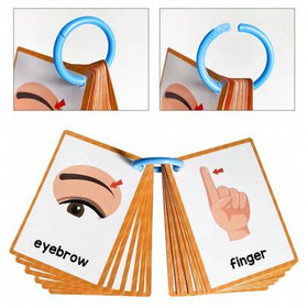 Lachilly 15 بطاقة أجزاء الجسم بطاقات فلاش معرفية للأطفال، بطاقات تعليمية لتعلم اللغة الإنجليزية، ألعاب مونتيسوري
