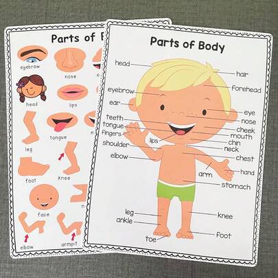قطعتان من ملصقات أجزاء الجسم لتعلم المعرفة للأطفال، ملصقات حائط للمدرسة الابتدائية، ديكورات غرفة الأطفال، ملصقات تعليمية بحجم A4