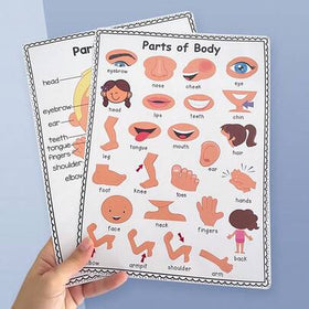 قطعتان من ملصقات أجزاء الجسم لتعلم المعرفة للأطفال، ملصقات حائط للمدرسة الابتدائية، ديكورات غرفة الأطفال، ملصقات تعليمية بحجم A4