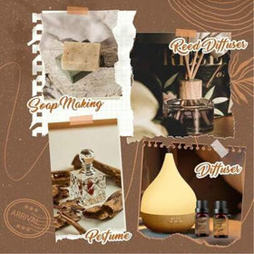 زيت عطري أساسي 10 مل في زجاجة خشبية، 100% نقي وجودة عالية، زيت عطري طبيعي، مناسب للمبخر والشمع والترطيب - هدية مجموعة منعشة للمنزل والسيارة، تغليف مشهد غابة استوائية، عطر زيت أساسي. يمكن استخدام مرطب الزيت الأساسي للنوم والسيارة.
