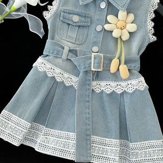 موضة 2025 صيف بنت دينم فستان little أميرة flower فيست فستان with lace & ruffles decoration odm odm for children